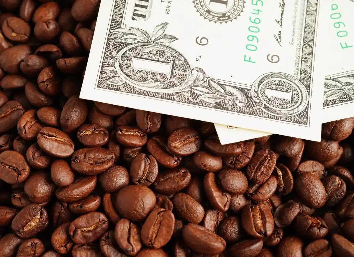 Primer plano de granos de café tostado con dos billetes de un dólar estadounidense parcialmente visibles encima, simbolizando el valor de la materia prima.