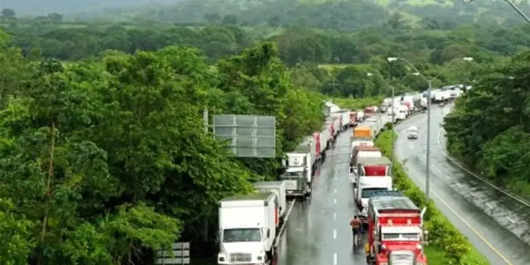 Vista aérea de una larga fila de camiones de carga detenidos en una carretera mojada, rodeada de densa vegetación y colinas verdes bajo un cielo nublado. Un hombre camina junto a un camión rojo.