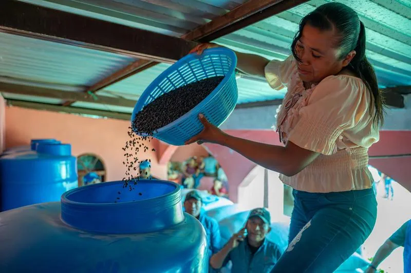 Centroamérica sufrirá mayor deterioro alimentario por El Niño