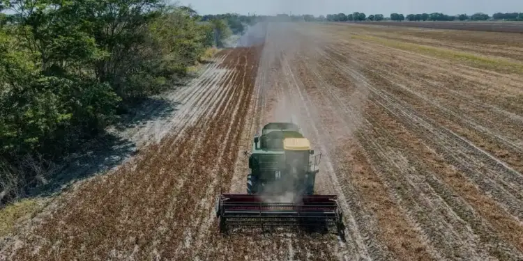 Centroamérica destaca en rueda de negocios agroalimentaria
