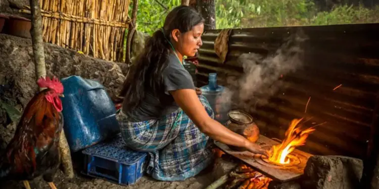 Mujer en entorno rural cocinando con leña en un fogón, con un gallo, recipientes y vegetación. Representa trabajo doméstico.