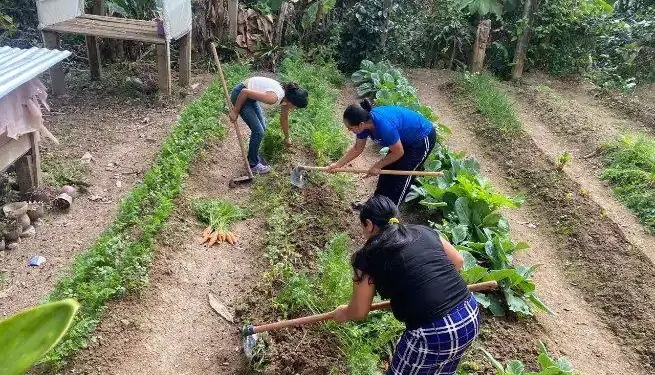 Estrategia agroalimentaria en Honduras para atraer inversión
