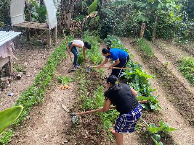 Estrategia agroalimentaria en Honduras para atraer inversión