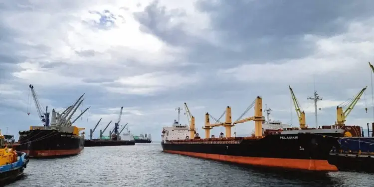Vista de un puerto con varios buques de carga grandes anclados, equipados con grúas. El cielo está nublado, reflejando la actividad del comercio marítimo.