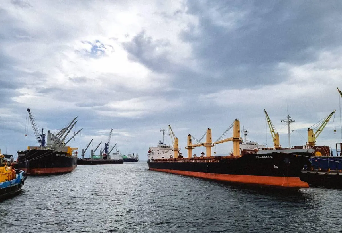 Vista de un puerto con varios buques de carga grandes anclados, equipados con grúas. El cielo está nublado, reflejando la actividad del comercio marítimo.