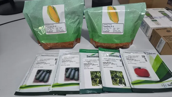 Variedad de paquetes de semillas para agricultura, incluyendo maíz dulce TesOro F-1, pepino, pimiento dulce Seminis y tomate de Bayer.