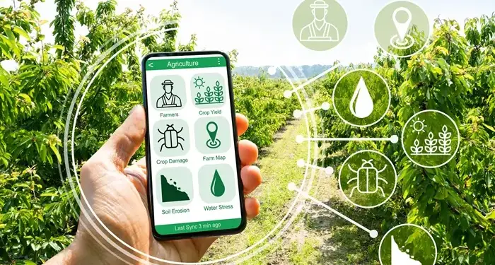 Mano sosteniendo un teléfono inteligente con aplicación agrícola frente a un campo cultivado
