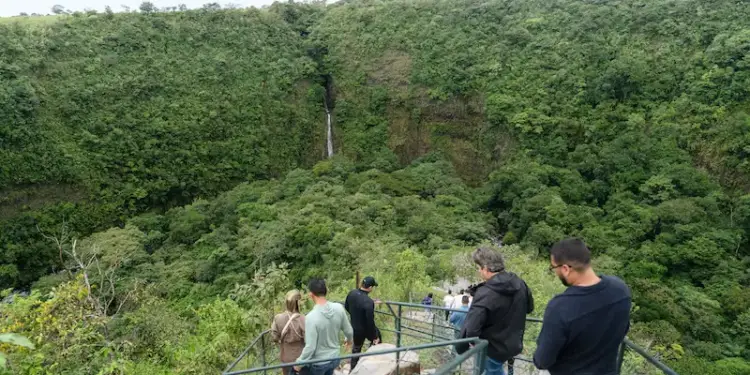 Un grupo de personas observa una cascada y un denso bosque desde un mirador con barandillas metálicas.