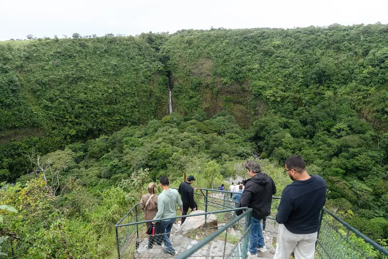 Un grupo de personas observa una cascada y un denso bosque desde un mirador con barandillas metálicas.