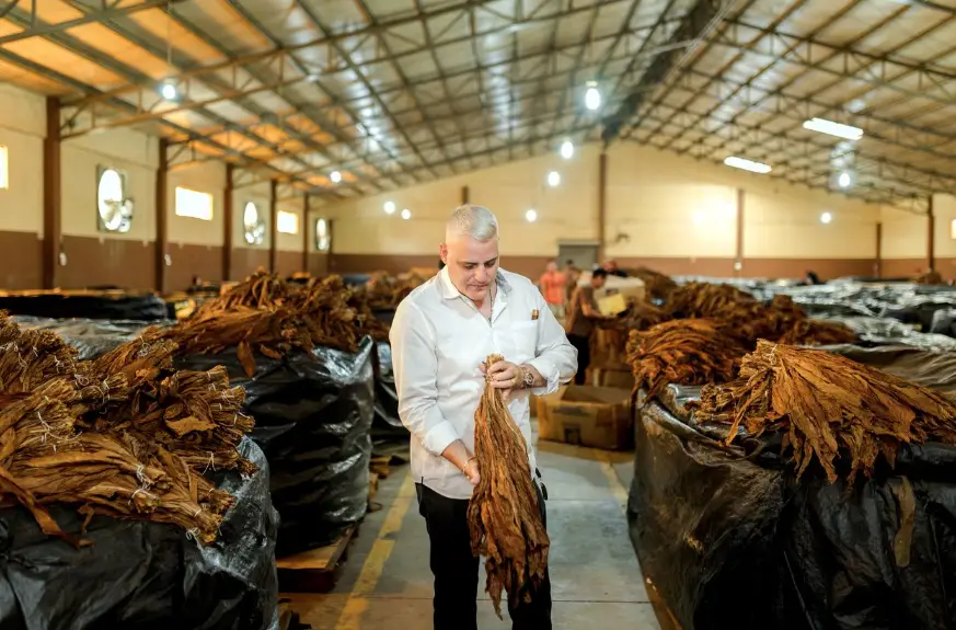 Puros premium: Nicaragua lidera el mercado centroamericano