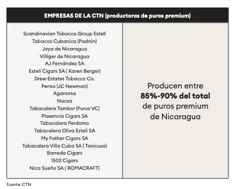 Campos de siembra de tabaco en la región fronteriza entre Nicaragua y Honduras.
