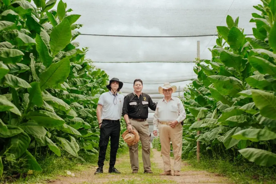 Tres hombres de pie en un sendero de tierra, flanqueado por altas plantas de hojas verdes bajo una malla de sombra. Uno lleva sombrero vaquero, otro sostiene un sombrero.