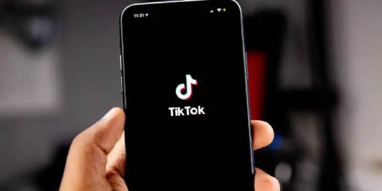 Mano sosteniendo un smartphone con el logo de TikTok en pantalla negra. La hora 11:31 es visible. Ilustra la presencia de la app en el ámbito digital y empresarial.