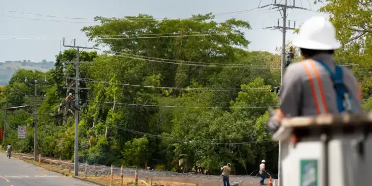 Personal técnico realizando mantenimiento en postes de electricidad y cables de alta tensión junto a una carretera.