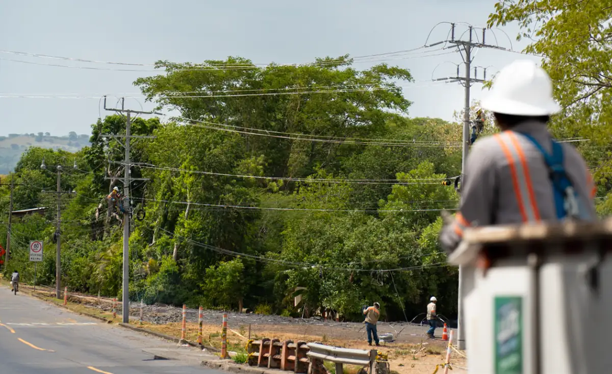 Personal técnico realizando mantenimiento en postes de electricidad y cables de alta tensión junto a una carretera.