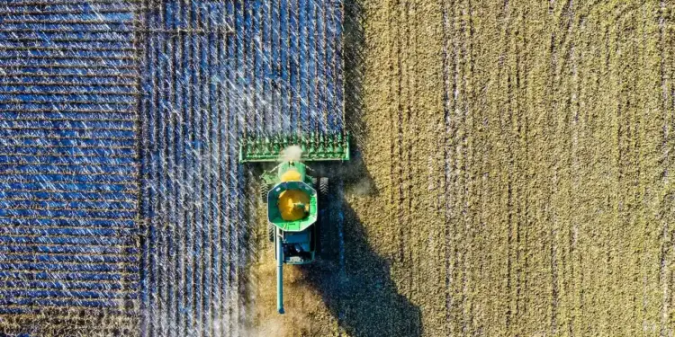 Vista cenital de una cosechadora verde trabajando en un campo agrícola durante la recolección de maíz.