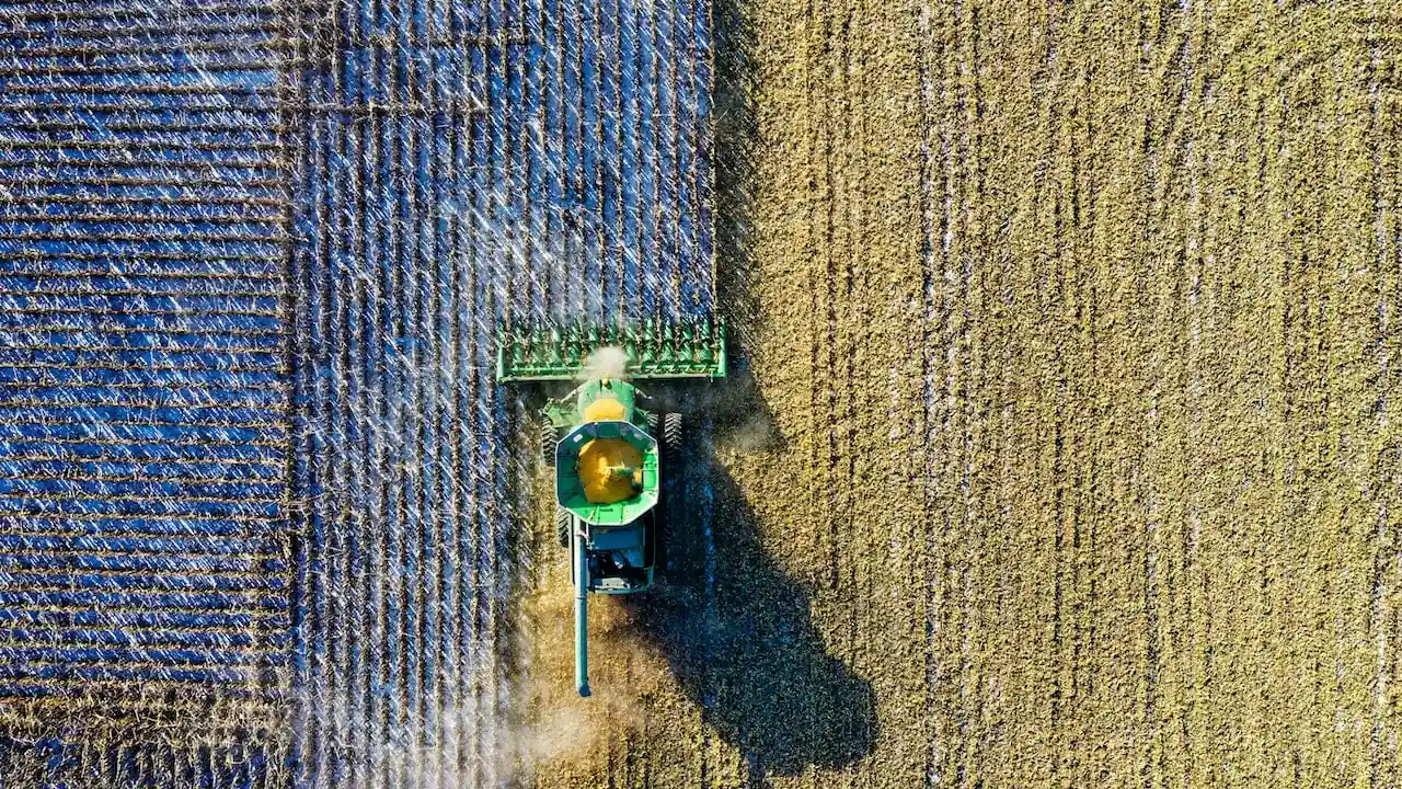 Vista cenital de una cosechadora verde trabajando en un campo agrícola durante la recolección de maíz.