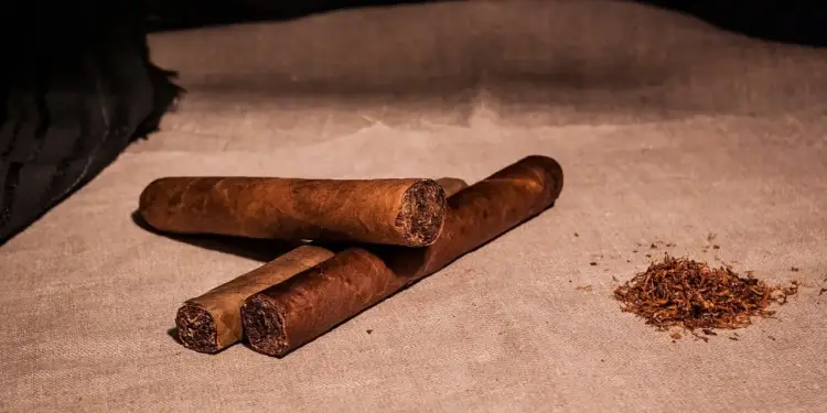 Tres puros de tabaco, de tonos marrones, sobre una tela texturizada. A la derecha, una pila de tabaco suelto.