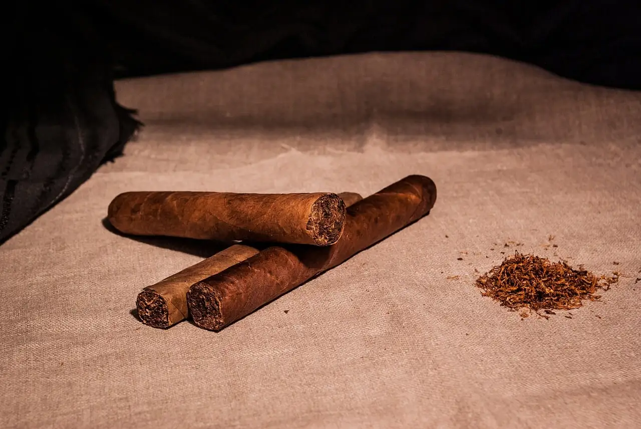 Tres puros de tabaco, de tonos marrones, sobre una tela texturizada. A la derecha, una pila de tabaco suelto.
