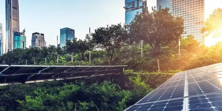 Paneles solares instalados en una zona verde con rascacielos y luz solar al fondo