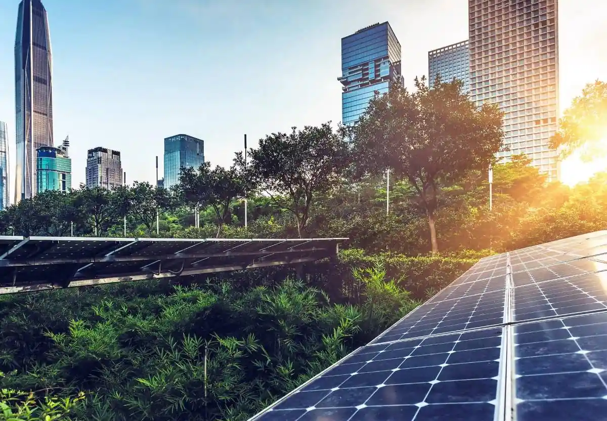 Paneles solares instalados en una zona verde con rascacielos y luz solar al fondo