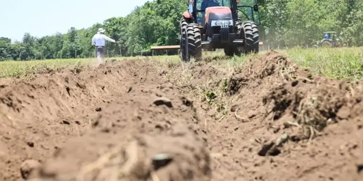 Vista a nivel del suelo de un campo arado con un tractor rojo en el centro y un trabajador esparciendo semillas. Al fondo, árboles y otro tractor.