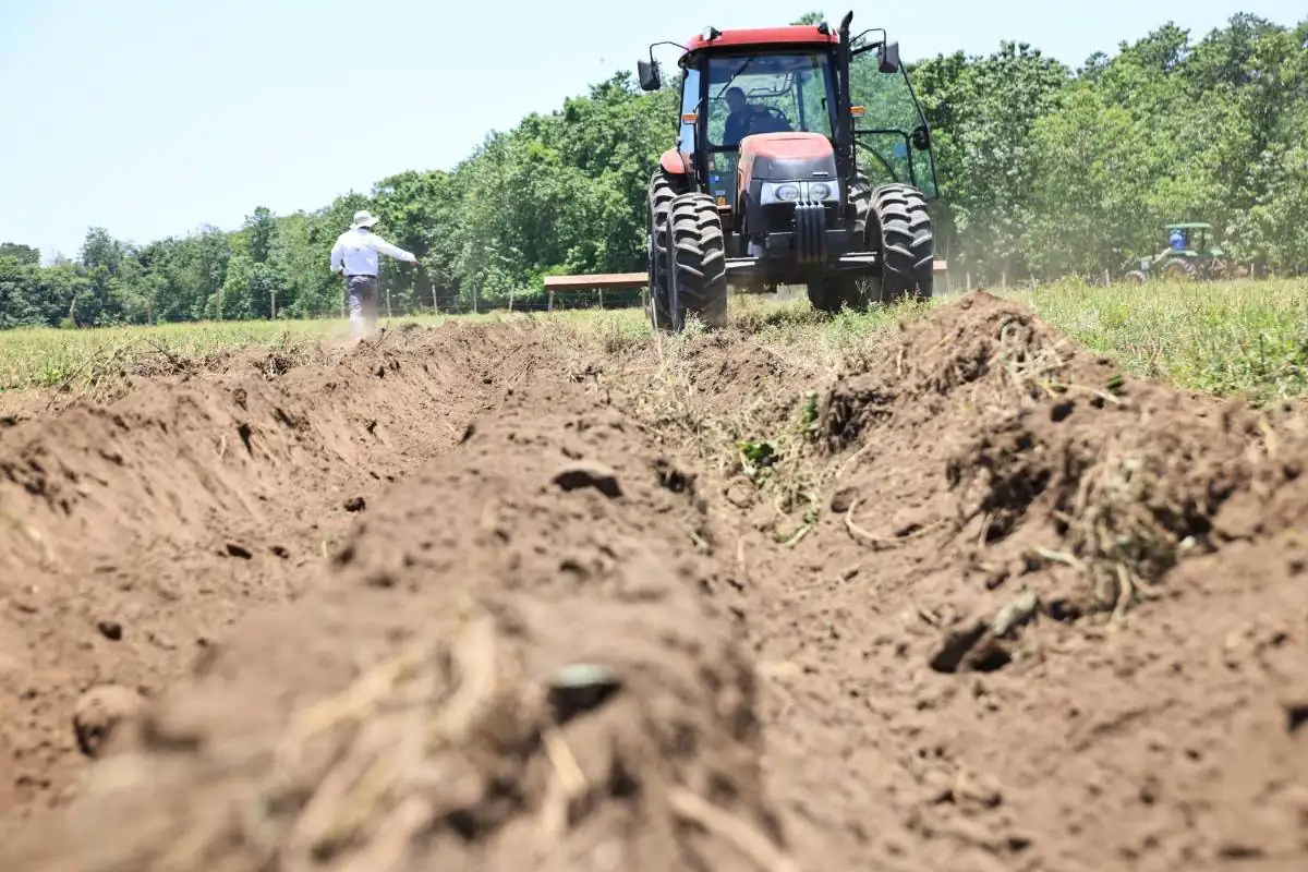 Vista a nivel del suelo de un campo arado con un tractor rojo en el centro y un trabajador esparciendo semillas. Al fondo, árboles y otro tractor.