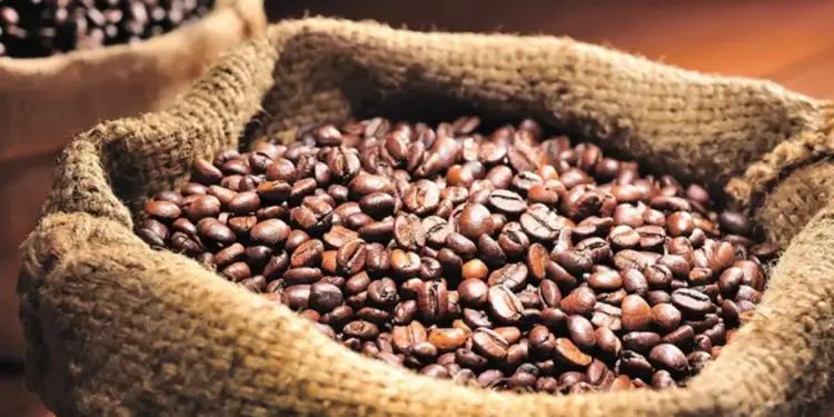 Sacos de arpillera o yute llenos de granos de café tostados de color marrón oscuro sobre una superficie de madera.