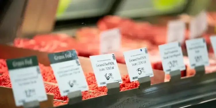 Vitrina refrigerada de supermercado con diversos cortes de carne fresca y etiquetas de precios visibles.