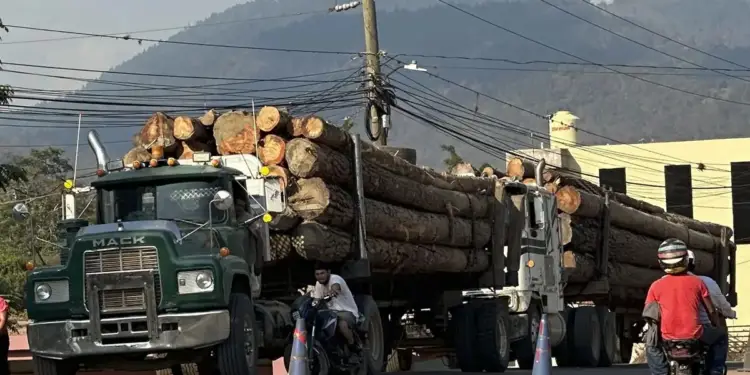 Un camión Mack verde cargado con troncos de madera en una carretera, con montañas y líneas eléctricas de fondo. Dos motocicletas y conos de tráfico también son visibles.