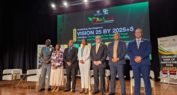 Grupo de profesionales en un escenario durante una conferencia empresarial con una pantalla verde de fondo.