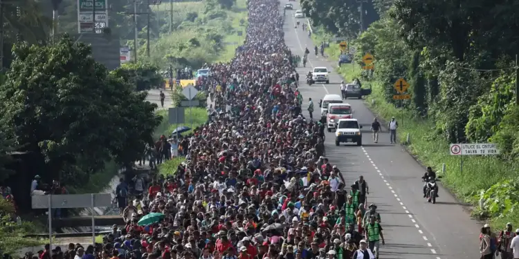 Vista aérea de una gran multitud de personas caminando por una carretera rodeada de vegetación.