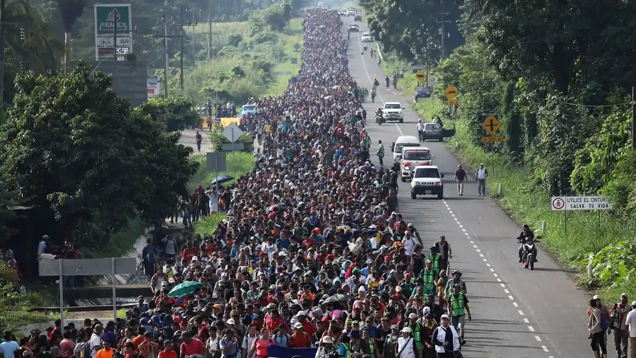 Vista aérea de una gran multitud de personas caminando por una carretera rodeada de vegetación.