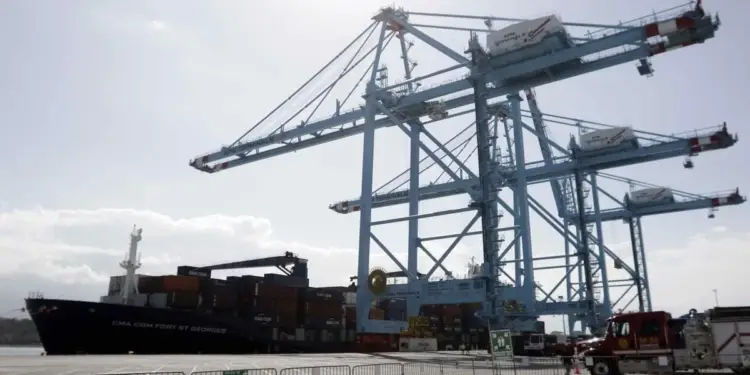 Grandes grúas pórtico y un buque portacontenedores atracado en una terminal portuaria bajo un cielo despejado.