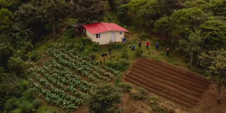 Vista aérea de una pequeña casa con techo rojo rodeada de cultivos agrícolas y un terreno preparado para la siembra.