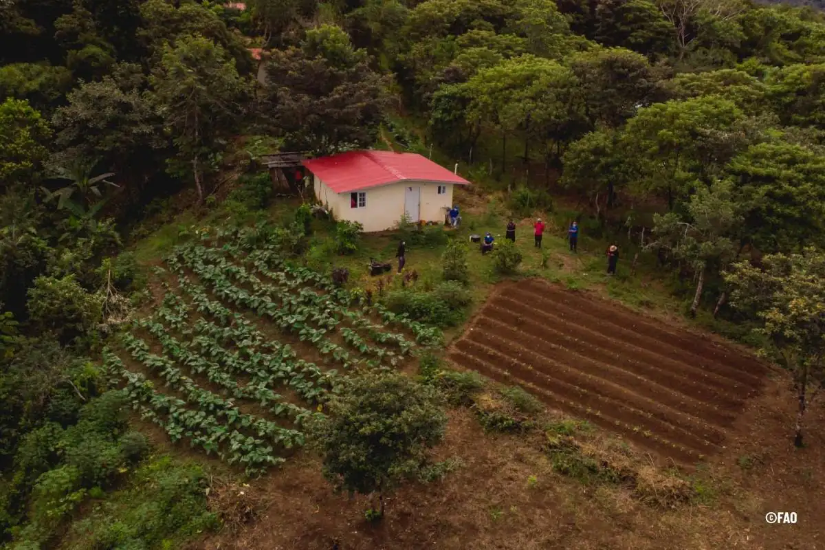 Vista aérea de una pequeña casa con techo rojo rodeada de cultivos agrícolas y un terreno preparado para la siembra.