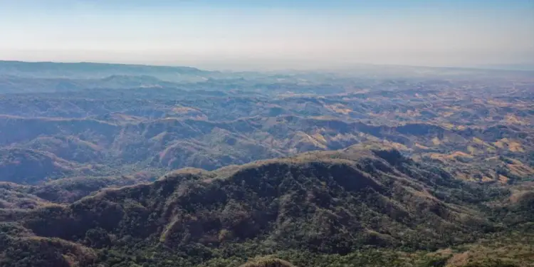 Vista aérea de un vasto paisaje montañoso cubierto de vegetación densa y árboles, con colinas ondulantes que se extienden hasta el horizonte bajo un cielo despejado.