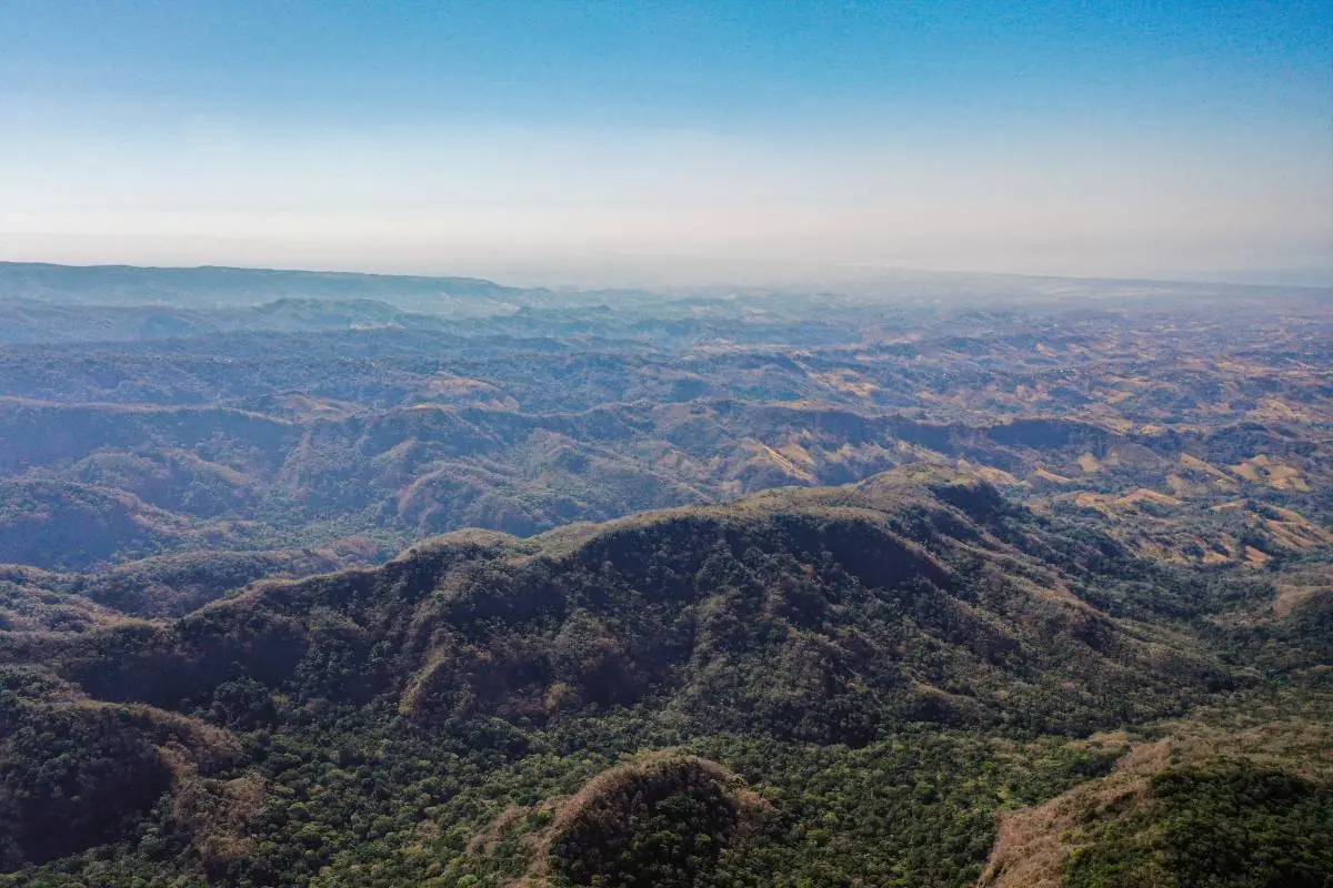 Vista aérea de un vasto paisaje montañoso cubierto de vegetación densa y árboles, con colinas ondulantes que se extienden hasta el horizonte bajo un cielo despejado.