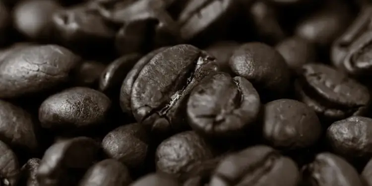 Primer plano de granos de café tostado, mostrando su textura y color oscuro, listos para ser procesados o consumidos.