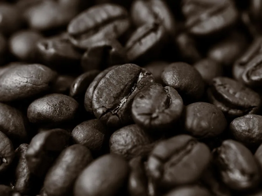 Primer plano de granos de café tostado, mostrando su textura y color oscuro, listos para ser procesados o consumidos.