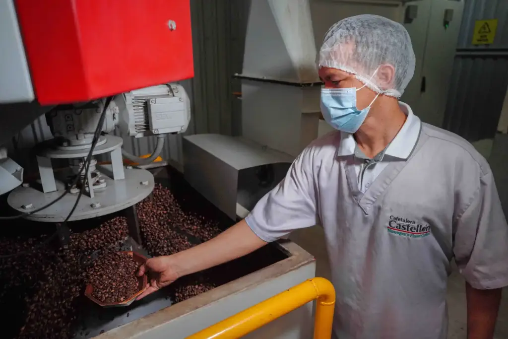 Un trabajador de Cafetalera Castellón revisa granos de café tostado recién salidos del tostador