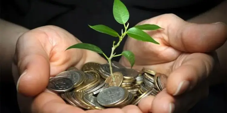 Manos sosteniendo una planta verde que crece desde un montón de monedas metálicas