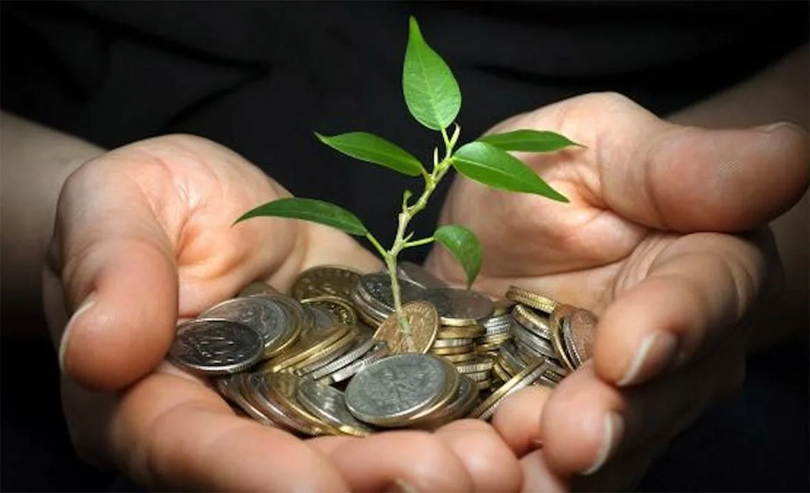 Manos sosteniendo una planta verde que crece desde un montón de monedas metálicas