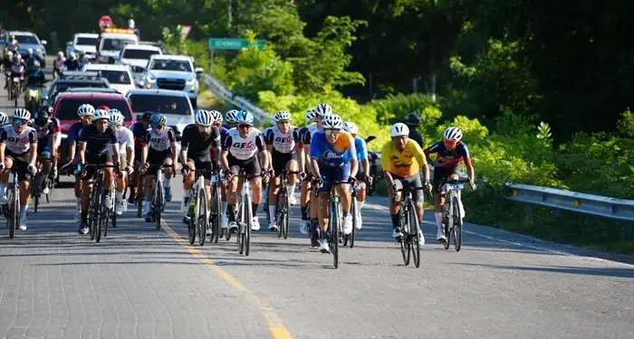 Numeroso grupo de ciclistas con cascos y ropa deportiva compitiendo en una carretera asfaltada escoltados por vehículos.