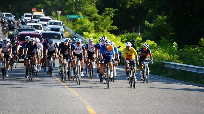 Numeroso grupo de ciclistas con cascos y ropa deportiva compitiendo en una carretera asfaltada escoltados por vehículos.