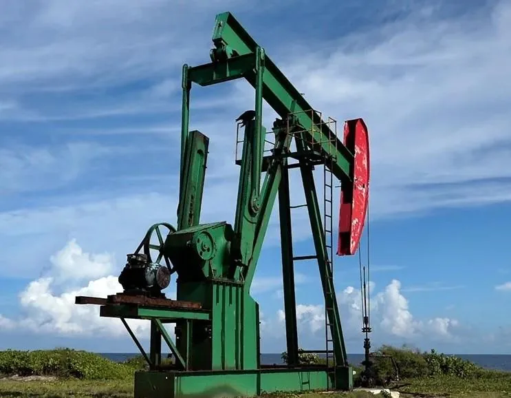 Un balancín de extracción de petróleo verde con un contrapeso rojo, operando en un campo con vegetación y el mar al fondo bajo un cielo azul.