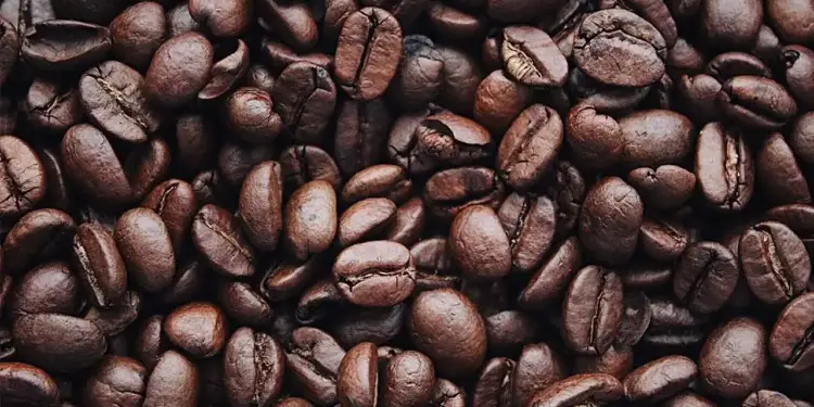Primer plano de granos de café tostado de color marrón oscuro, mostrando su textura y forma característica con surcos profundos.