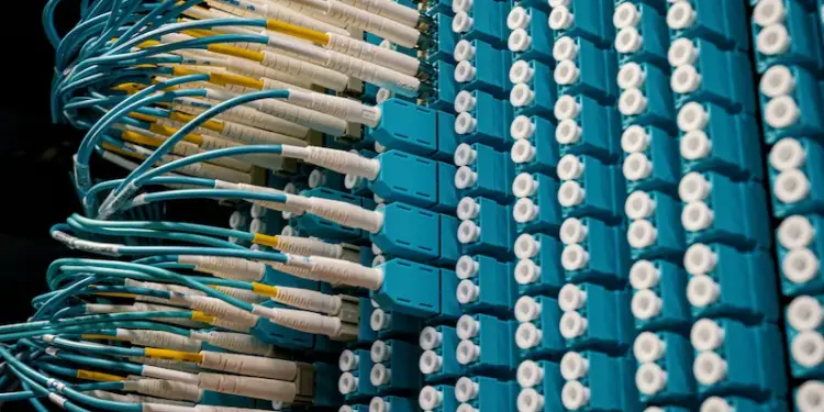 Panel con conectores de fibra óptica y cables azules conectados en un servidor de datos.