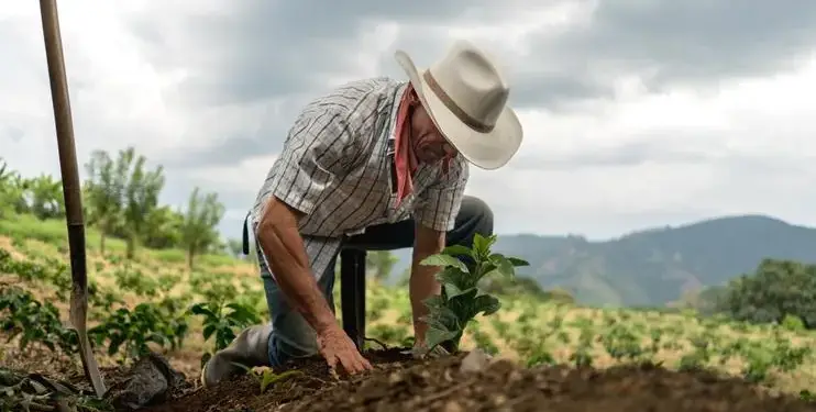 Agricultor con sombrero y camisa a cuadros trabajando la tierra en un campo de cultivo.
