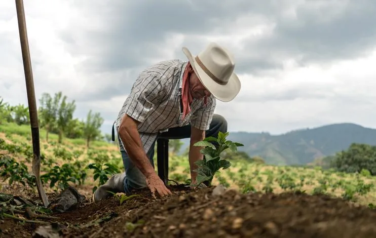 Agricultor con sombrero y camisa a cuadros trabajando la tierra en un campo de cultivo.
